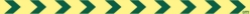 250_BA0208L.JPG