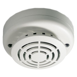250_DT713-5R.JPG