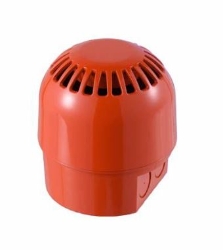 250_TCC-0001.JPG