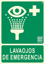 250_EV308N.JPG