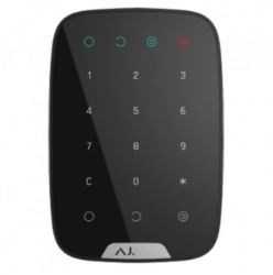 250_KEYPAD-B-DUMMY.JPG